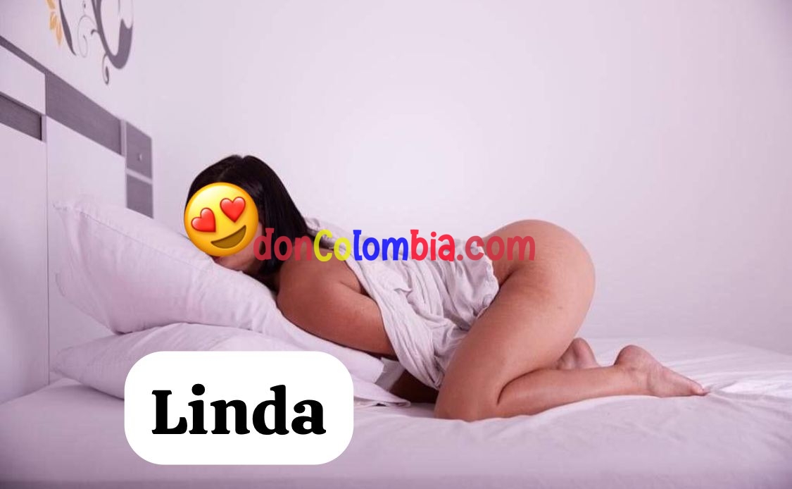 linda 3017600643