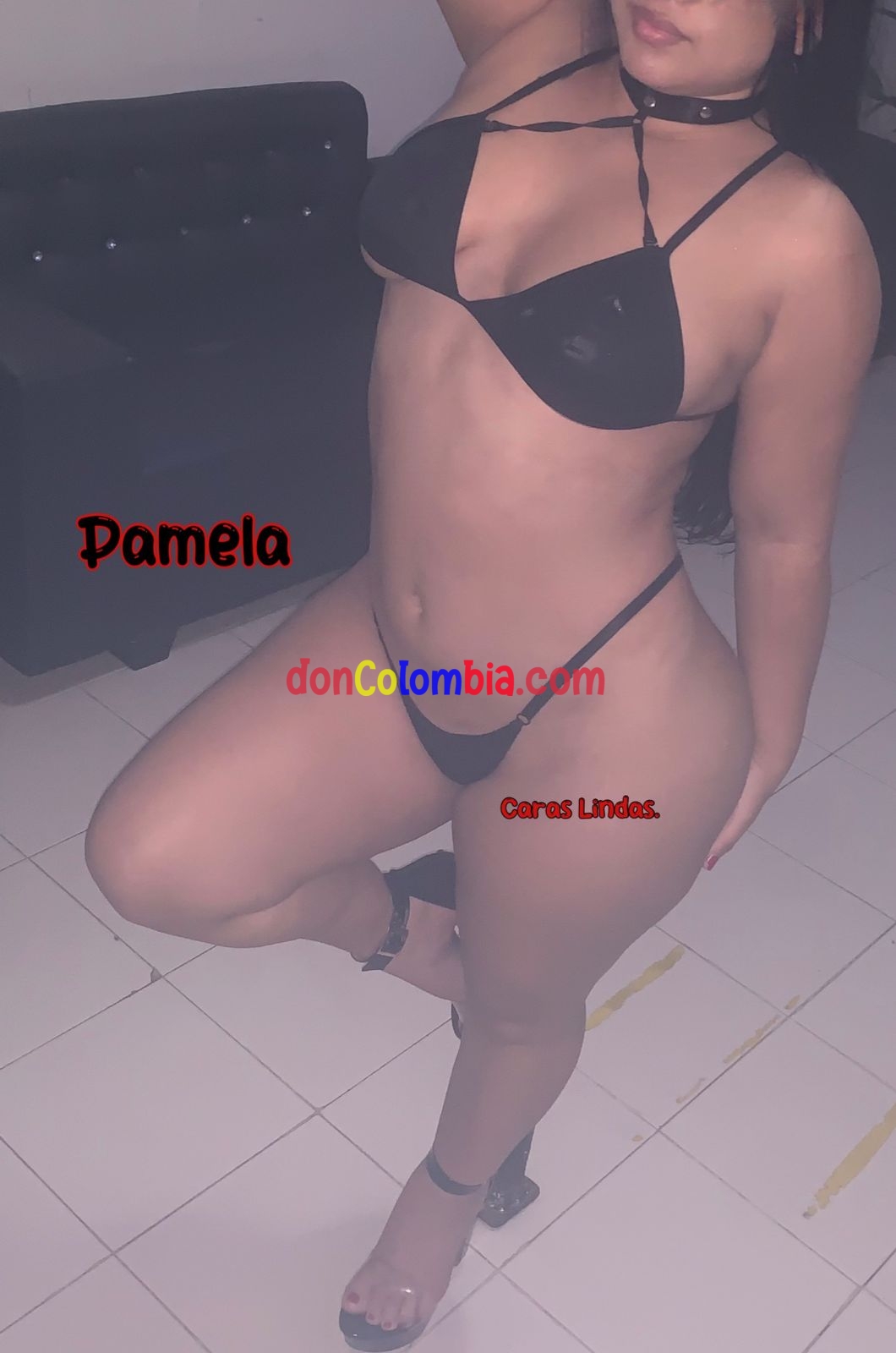pamela 3152739655