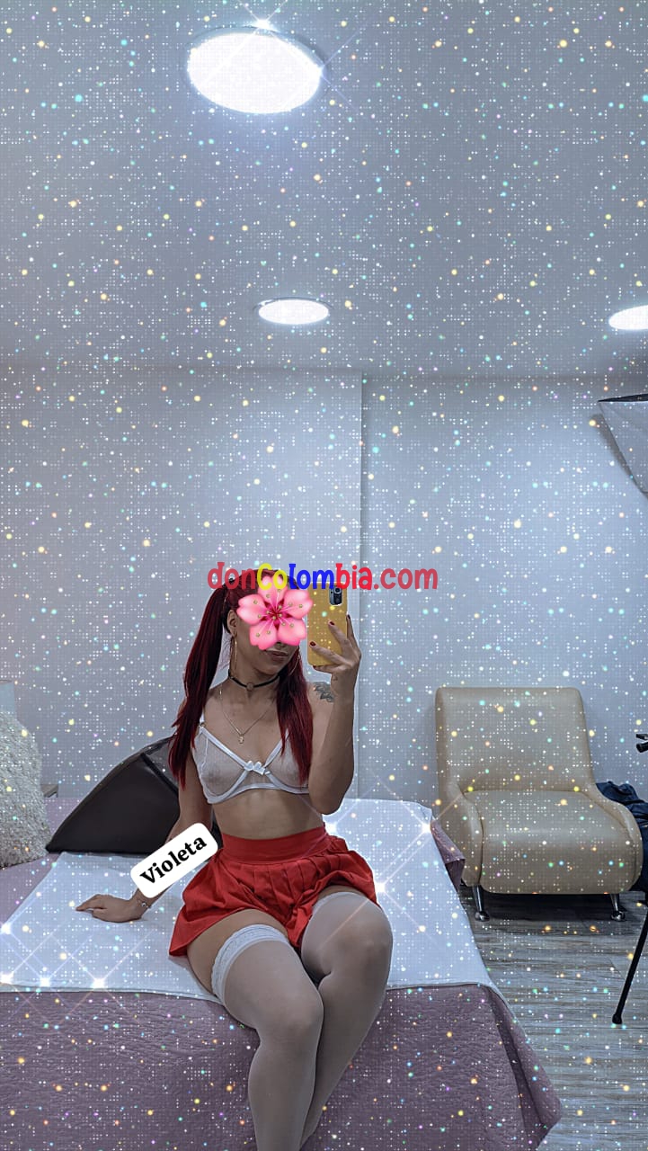 VIOLETA CARAS LINDAS SUR 3152739655