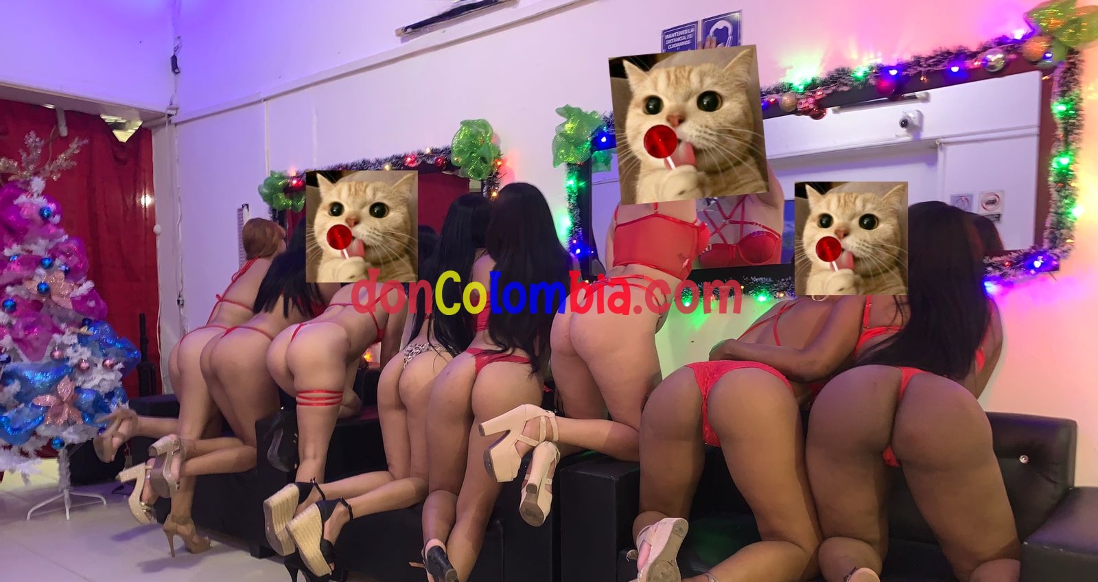 WhatsApp Image 2022-12-06 at 2.48.19 PM (1).jpeg