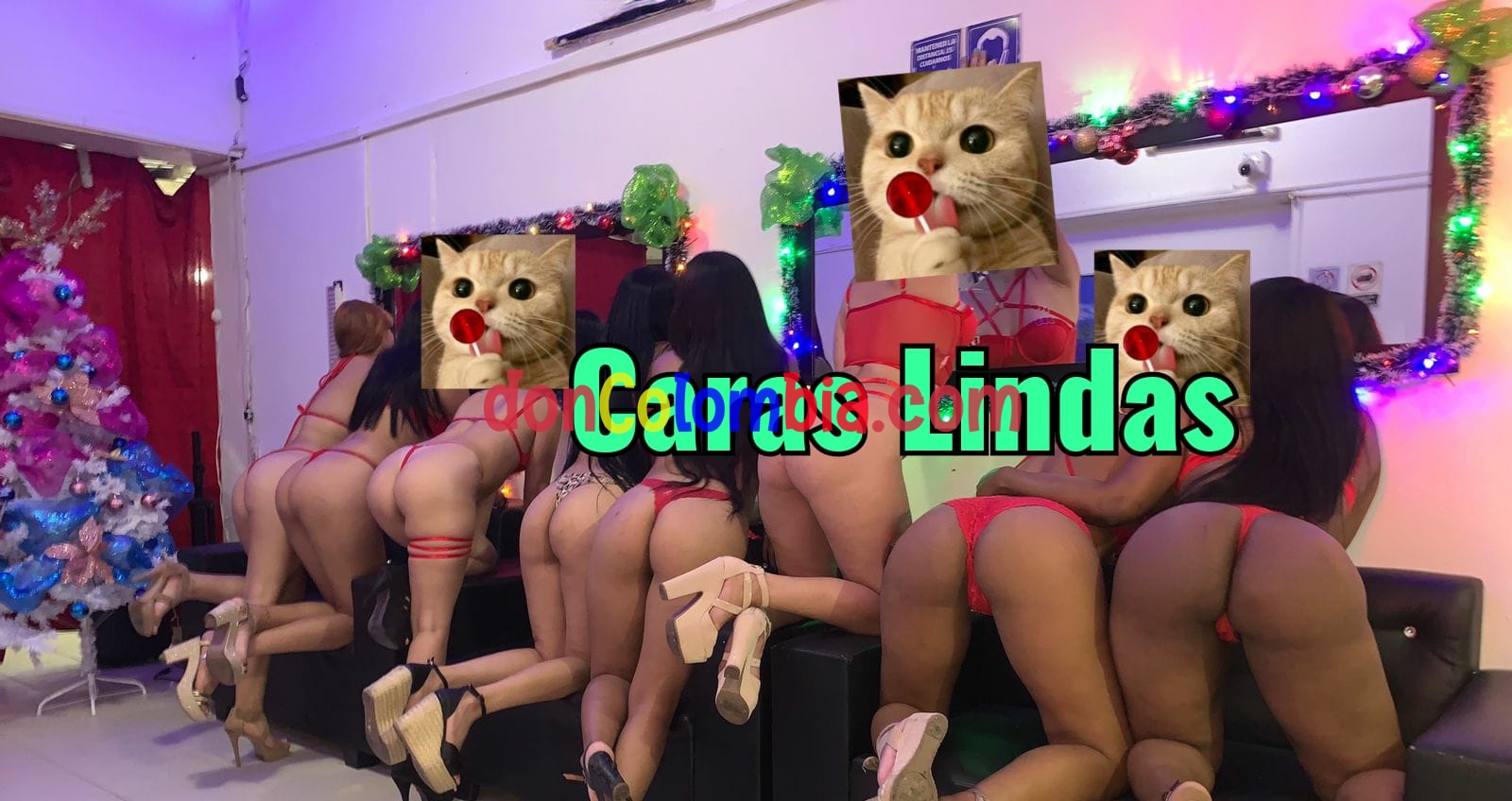 WhatsApp Image 2022-12-14 at 7.33.51 PM (1) - copia.jpeg