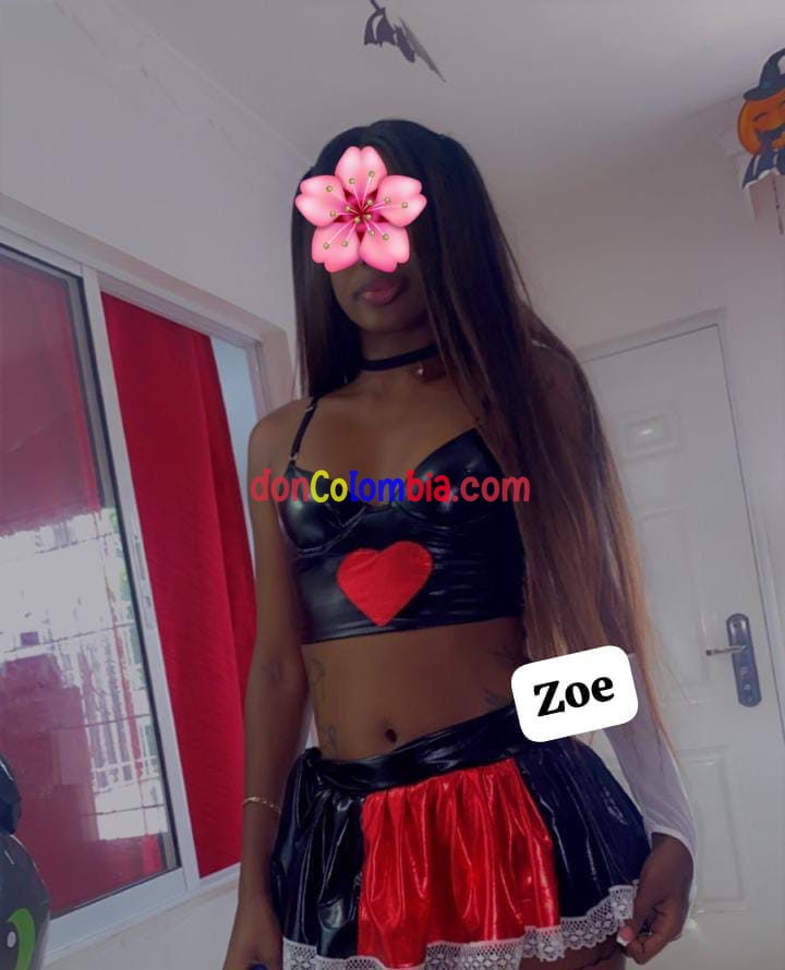 Zoe Caras Lindas 3152739655